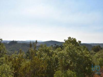 Vente Terrain FERREIRA-DO-ZEZERE 2240