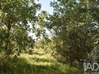 Vente Terrain FERREIRA-DO-ZEZERE 2240