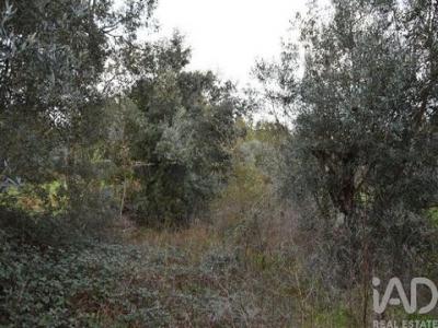 Vente Terrain FERREIRA-DO-ZEZERE 2240