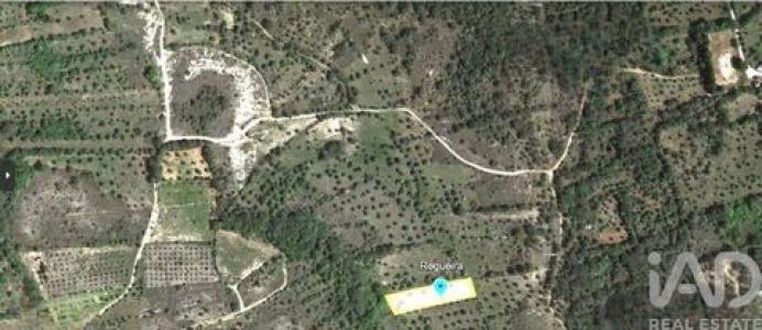 Vente Terrain FERREIRA-DO-ZEZERE 2240