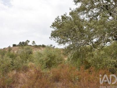 Vente Terrain FERREIRA-DO-ZEZERE 2240