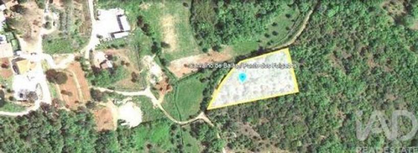 Vente Terrain FERREIRA-DO-ZEZERE 2240