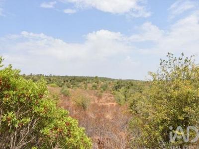 Vente Terrain FERREIRA-DO-ZEZERE 2240