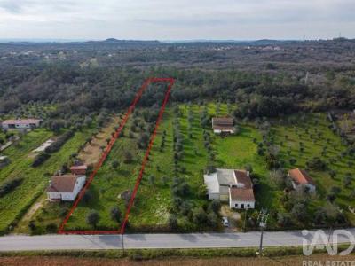 Vente Terrain FERREIRA-DO-ZEZERE 2240