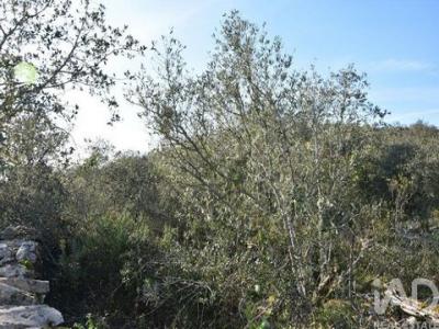 Vente Terrain FERREIRA-DO-ZEZERE 2240