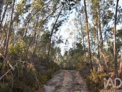 Vente Terrain FERREIRA-DO-ZEZERE 2240