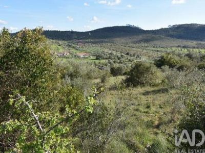 Vente Terrain FERREIRA-DO-ZEZERE 2240