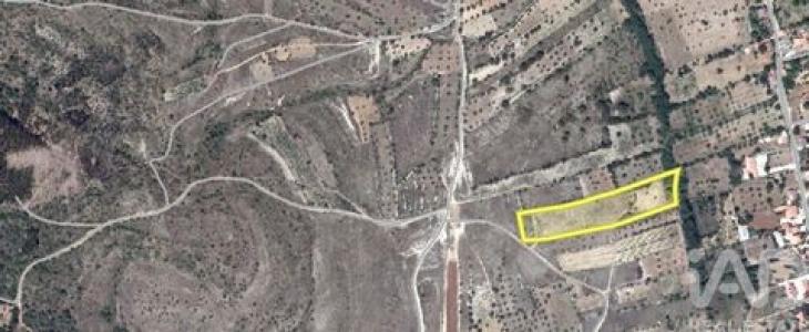 Vente Terrain FERREIRA-DO-ZEZERE 2240
