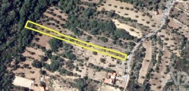 Vente Terrain FERREIRA-DO-ZEZERE 2240