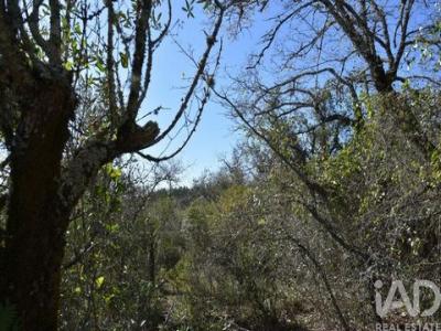 Vente Terrain FERREIRA-DO-ZEZERE 2240