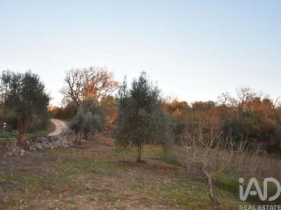 Vente Terrain FERREIRA-DO-ZEZERE 2240