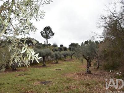 Vente Terrain FERREIRA-DO-ZEZERE 2240