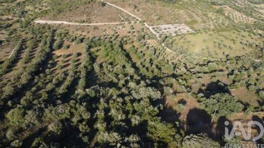 Vente Terrain FERREIRA-DO-ZEZERE 2240