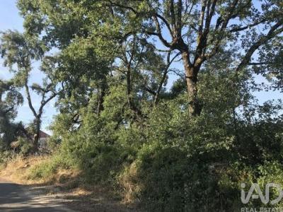 Vente Terrain FERREIRA-DO-ZEZERE 2240