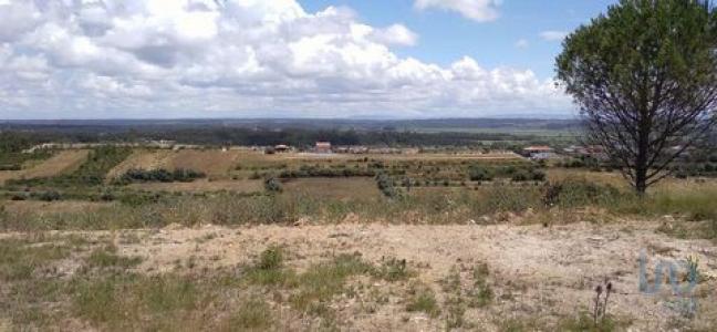 Vente Terrain FIGUEIRA-DA-FOZ 3080