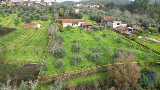 Vente Maison 6 pi�ces FIGUEIRO-DOS-VINHOS 3260