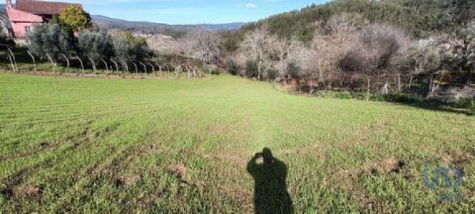 Vente Terrain FIGUEIRO-DOS-VINHOS 3260