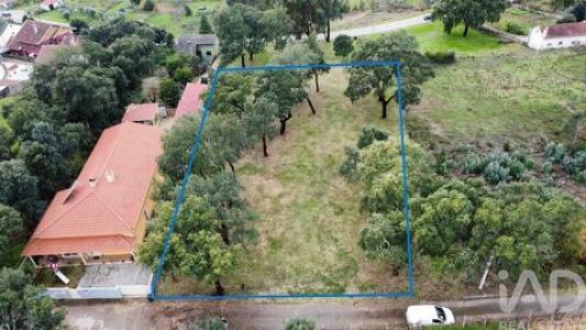 Vente Terrain FIGUEIRO-DOS-VINHOS 3260