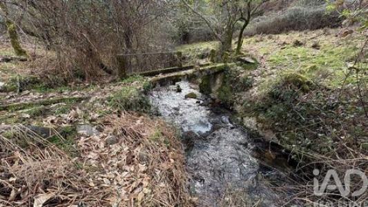 Vente Maison FIGUEIRO-DOS-VINHOS 3260