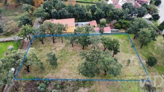 Vente Terrain FIGUEIRO-DOS-VINHOS 3260
