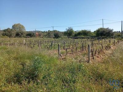 Vente Terrain FUNDAO 6230