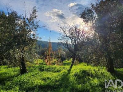 Vente Maison FUNDAO 6230