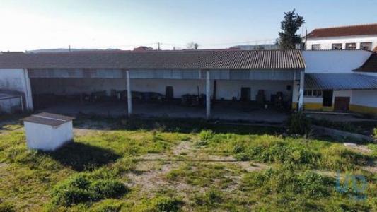 Vente Maison 5 pices GOLEGA 2150