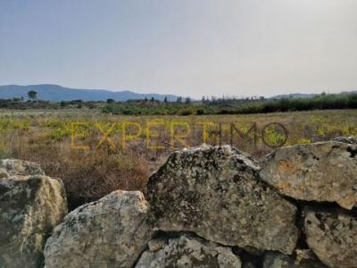 Vente Terrain GOUVEIA 5350