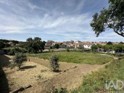 Vente Terrain GOUVEIA 5350