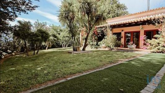 Vente Maison 2 pices GOUVEIA 6290