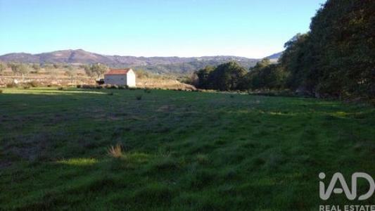 Vente Terrain GOUVEIA 6290