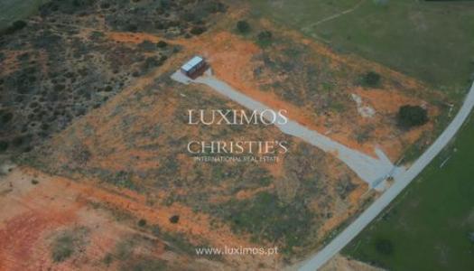 Vente Terrain GUIA 3105