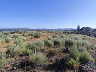 Vente Terrain GUILHEIRO 3640