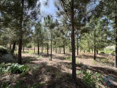 Vente Terrain GUILHEIRO 3640