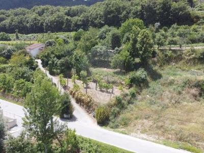 Vente Terrain GUIMARAES 4800