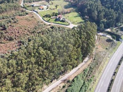 Vente Terrain GUIMARAES 4800