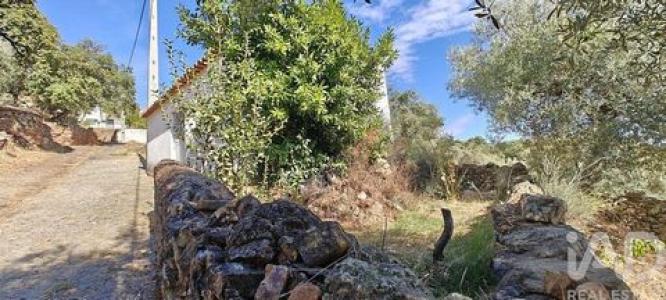 Vente Local industriel IDANHA-A-NOVA 6060