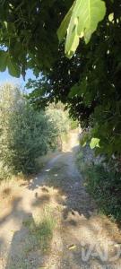 Vente Maison 2 pi�ces IDANHA-A-NOVA 6060