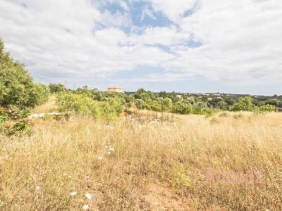 Vente Terrain LAGOA 2425