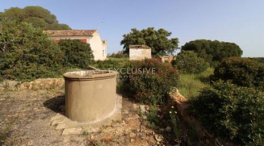 Vente Terrain LAGOA 2425