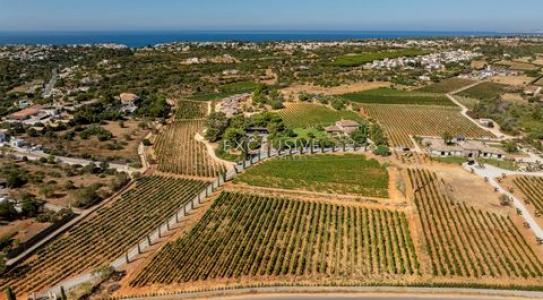 Vente Maison LAGOA 2425