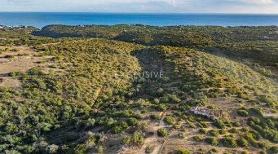 Vente Terrain LAGOA 2425