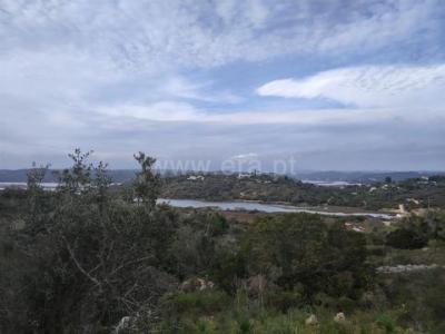 Vente Terrain LAGOA 2425