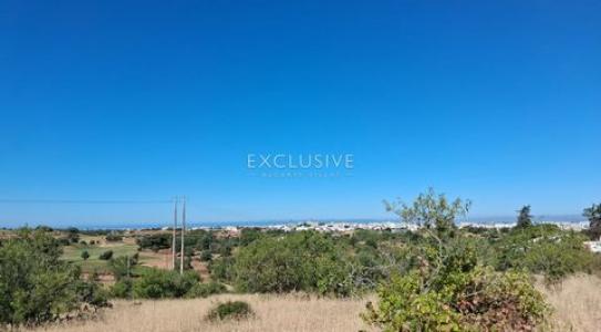 Vente Terrain LAGOA 2425