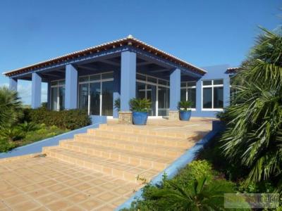 Vente Local commercial LAGOS 8600