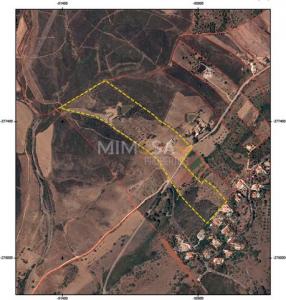 Vente Terrain LAGOS 8600