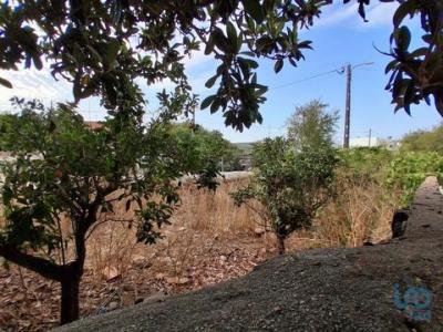 Vente Terrain LAGOS 8600