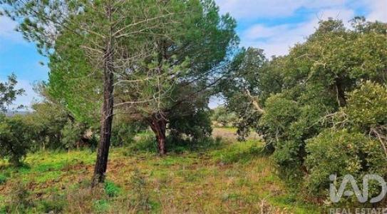 Vente Terrain LAGOS 8600