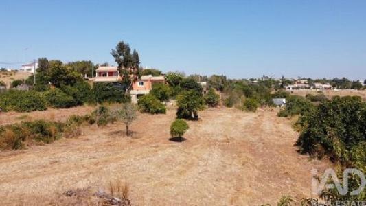 Vente Terrain LAGOS 8600