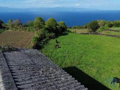 Vente Terrain LAJES-DO-PICO 9930